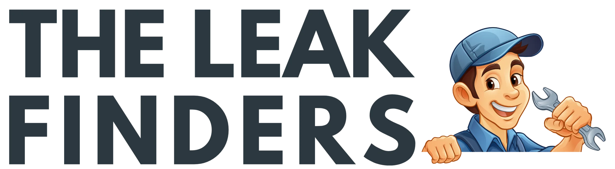 The Leak Finders